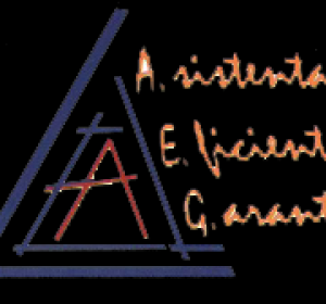 Tahografe Electronice, Digitale si Inteligente - Sisteme de incalzire auxiliara - Verificari_Service_Comercializare - LEAL A.E.G. SRL